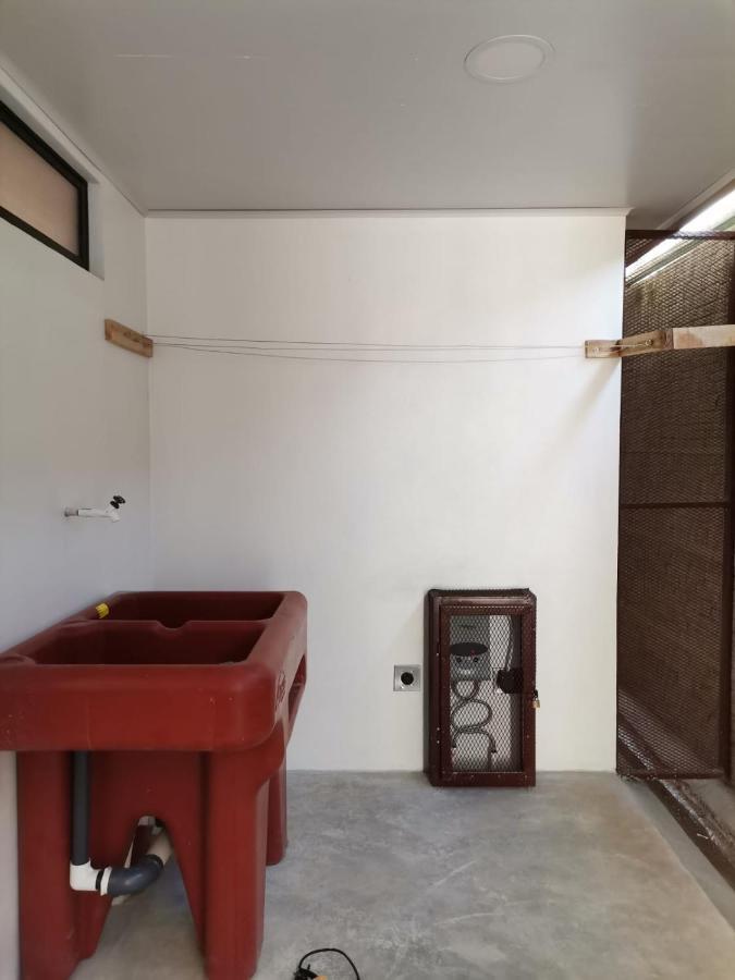 Kapaliz Apartment Tigre (Heredia)